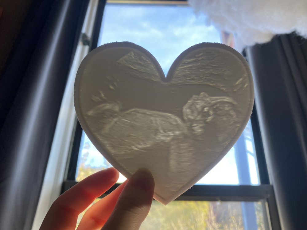 2D ultrasound lithophane